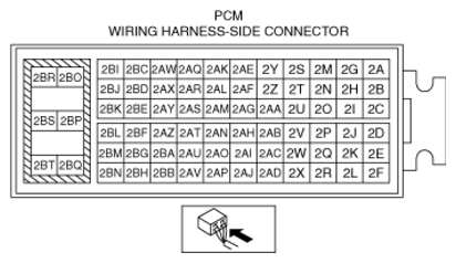 G13174045