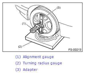 G13248619