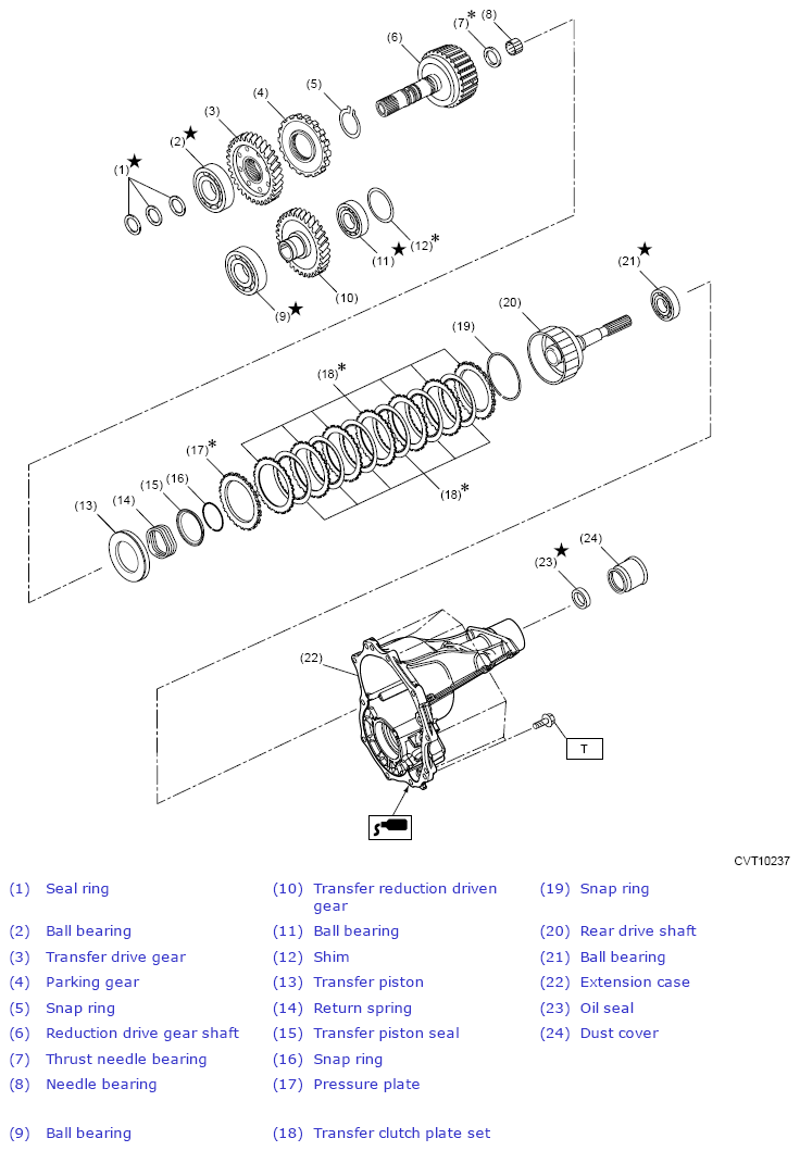 G13249974