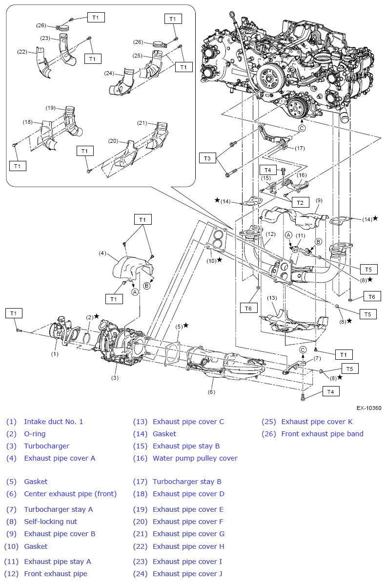 G13259384