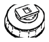 G13300002