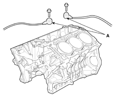 G13309486