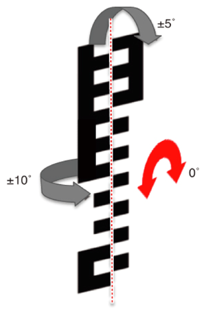 G13312864