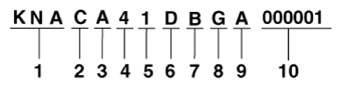 G13348041
