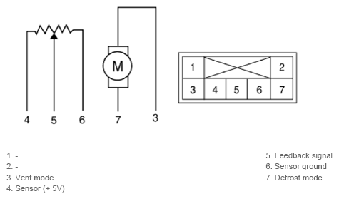 G13351685