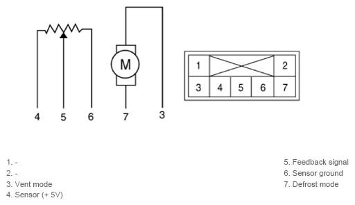 G13351686