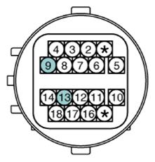 G13361923