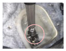 G13362558
