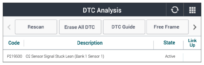 G13369229