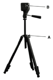 G13387814