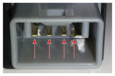G13389257