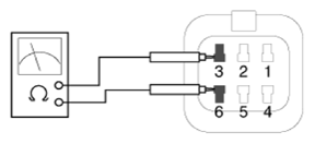 G13390786