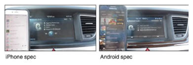 G13413820
