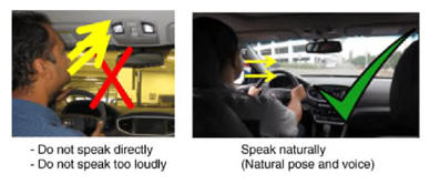 G13413829