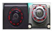 G13417194