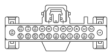 G13419091