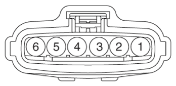 G13428119