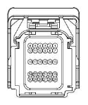 G13431488