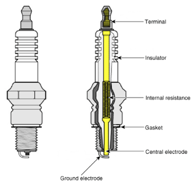G13436390
