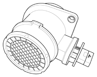 G13436555