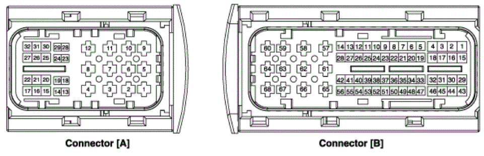 G13436907