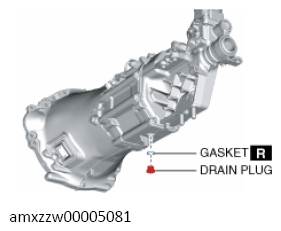 G13489240