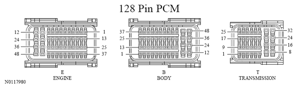 G13533377