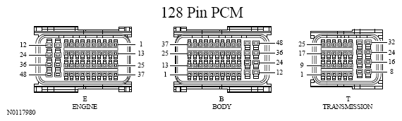 G13533484