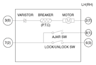 G13543482