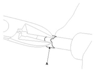 G13551379