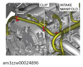 G13556417