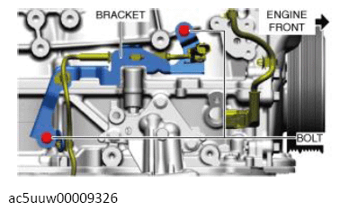 G13556426