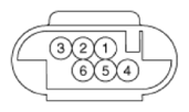 G13562975