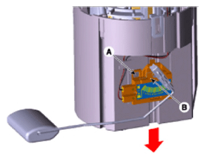 G13563119