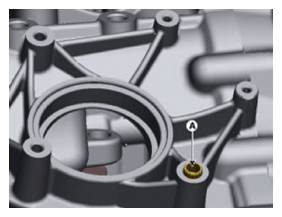 G13563349