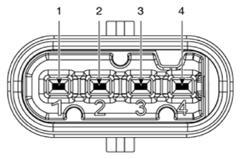 G13575968