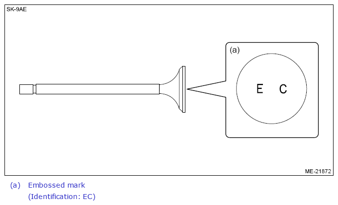 G13590893