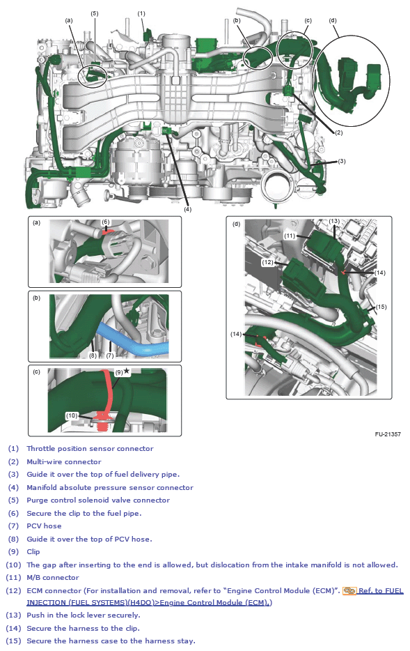 G13618339