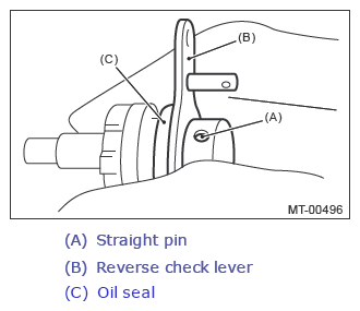 G13648055
