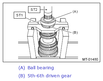 G13648149