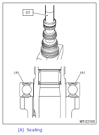 G13648174
