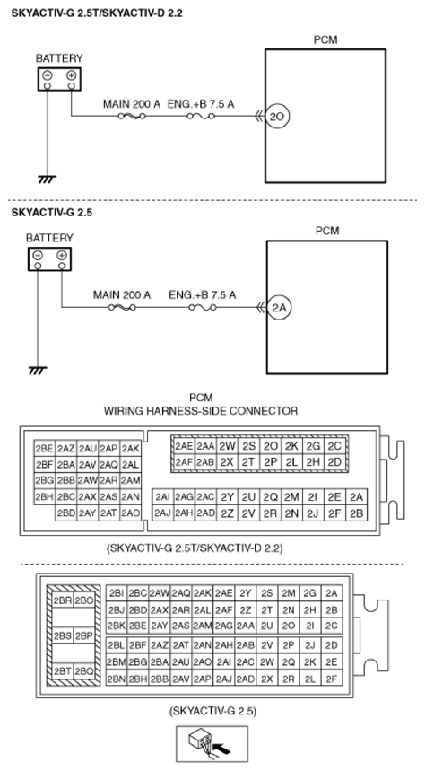 G13673730