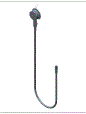 G13704601