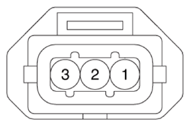 G13704674
