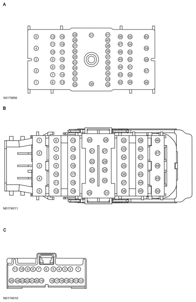 G13711376