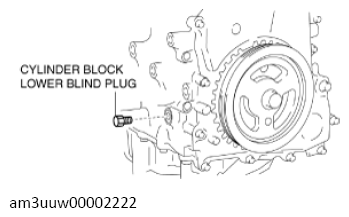 G13726591