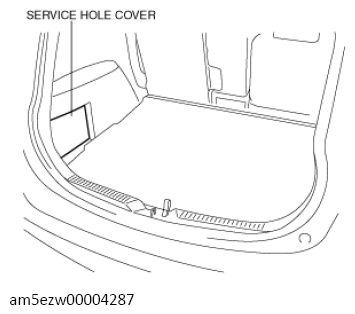 G13728599