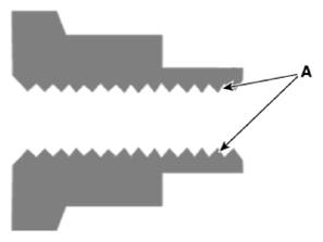 G13834565