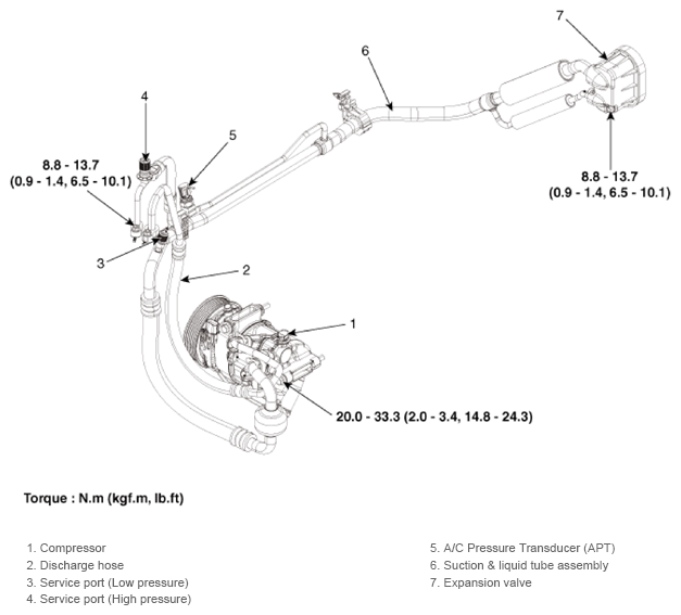 G13836384