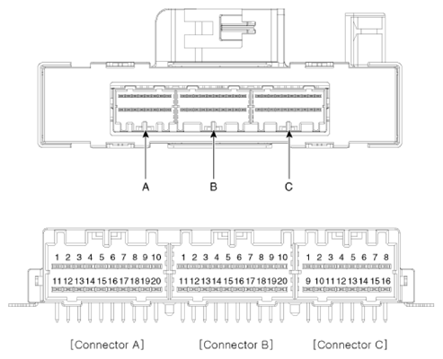 G13836537
